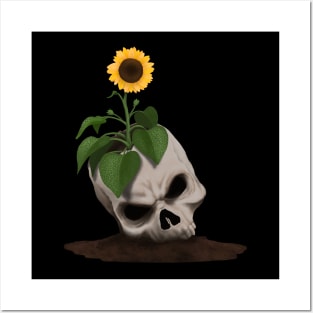 Sunflower Posters and Art